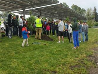 Students and teachers outside on the grass