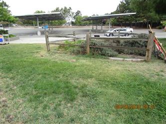 A grassy area