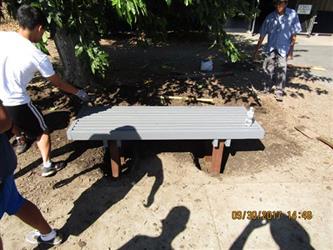 Students next to a park bench