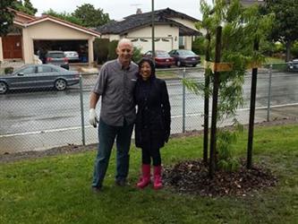 Two people standing next to a planted tree