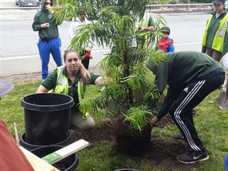 People planting a tree