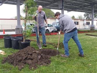 People digging holes and planting plants