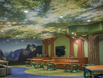 A prehistoric forest themed area of the Summerdale Flexible Instructional Space